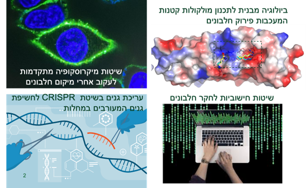 ek.png
