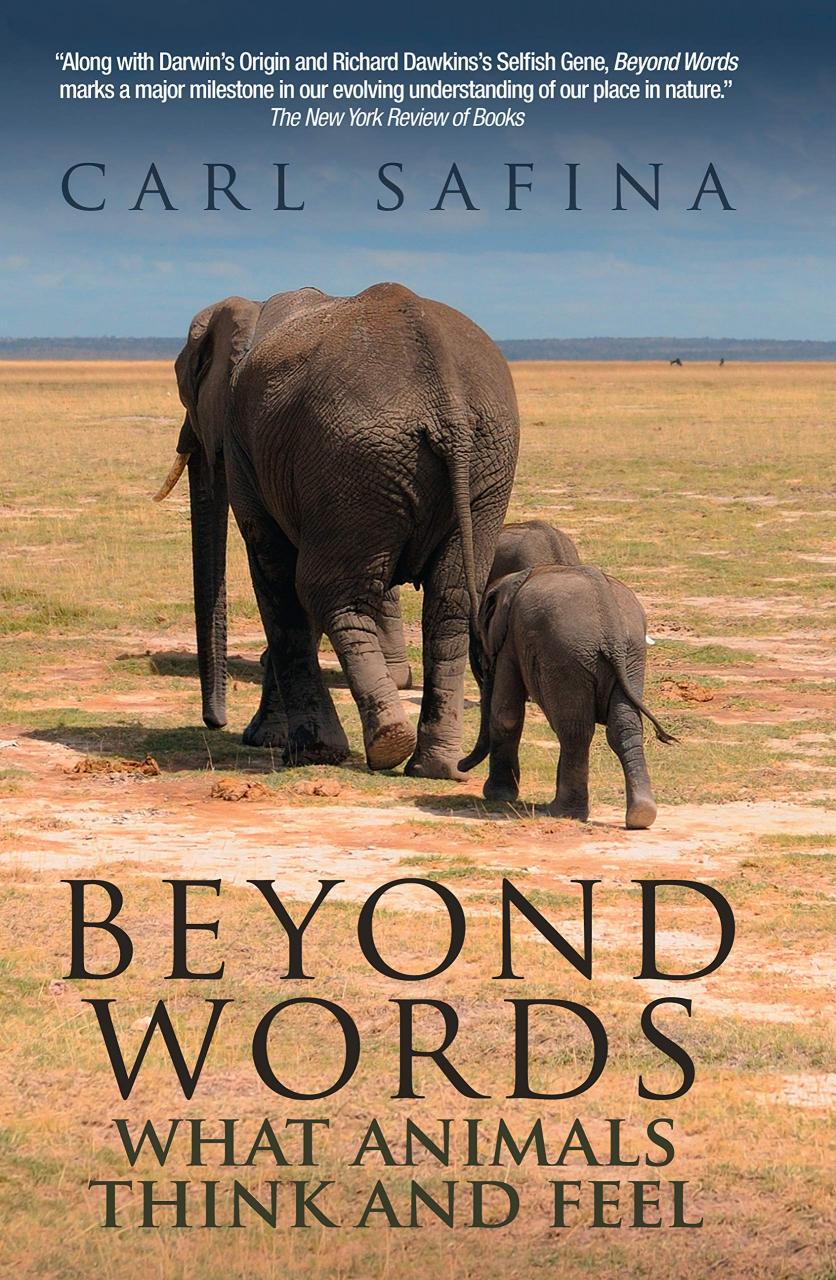 Beyond Words [electronic resource]: What Animals Think and Feel / Safina, Carl, 2016