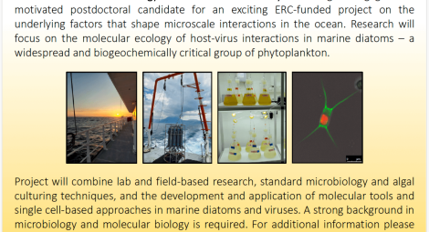 Postdoc Position in Marine Microbiology