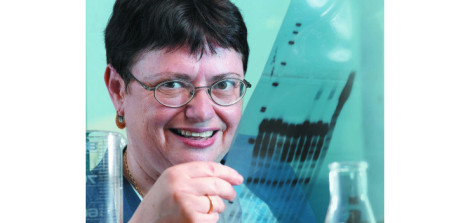 Prof. Shulamit Michaeli