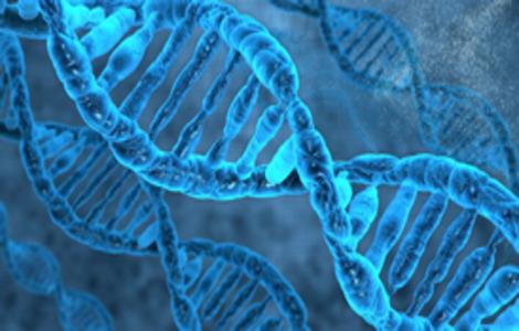 BSc in Life Sciences (Biology) Single Major