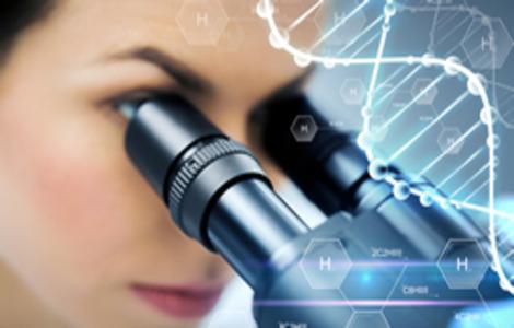 BSc in Life Science and Chemistry (Double Major)