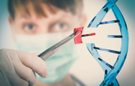BSc in Biotechnology (Single Major)