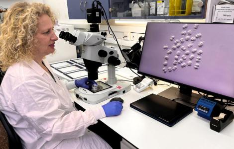 The Transgenic and Cryopreservation Unit
